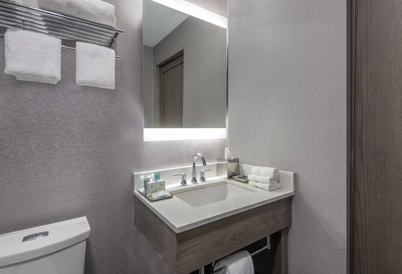 Номер Стандарт Адаптированный для Инвалидов, Wyndham Garden Laguardia South