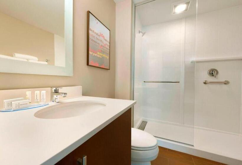 스탠다드 스튜디오, Towneplace Suites By Marriott Pittsburgh Airport/robinson Township