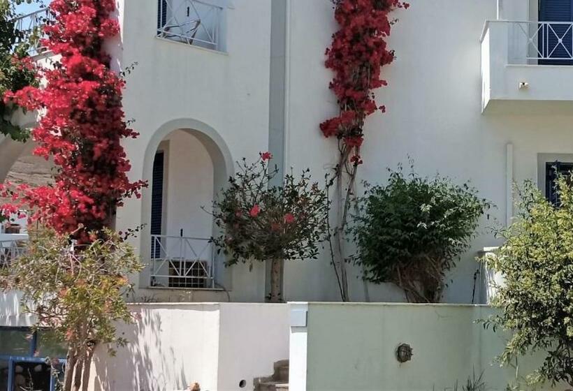 سوییت خانوادگی, Allegria Family