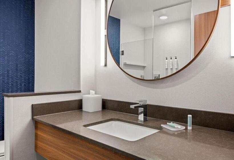 Люкс Кровать Кинг, Fairfield By Marriott Inn & Suites Baraboo