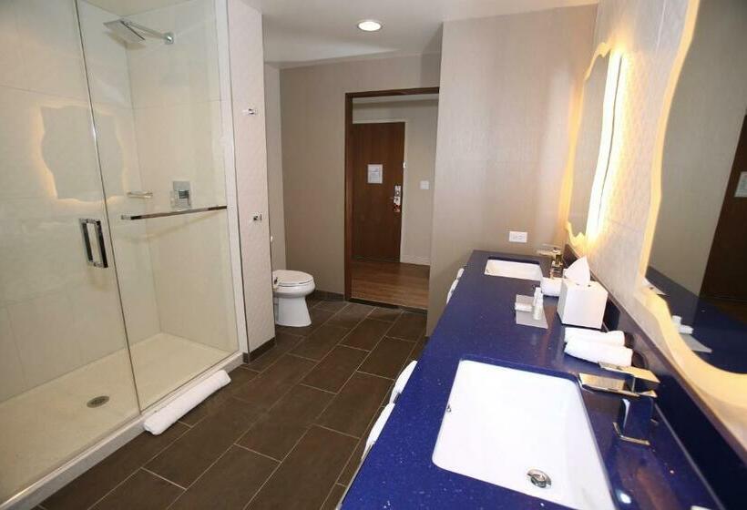 Standard Værelse King Size Seng, Indigo Naperville Riverwalk, An Ihg
