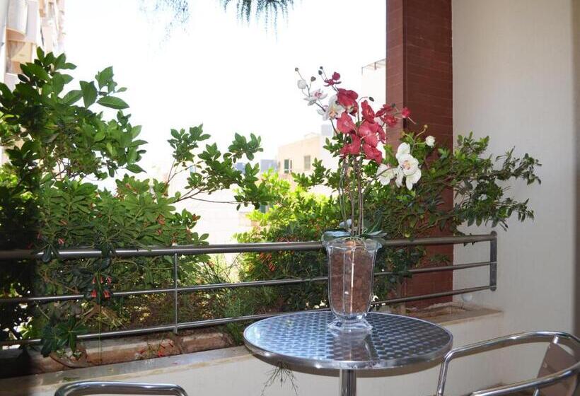 استودیوی استاندارد, Nest 1