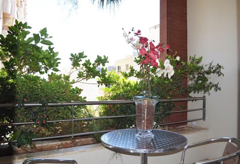 استودیوی استاندارد, Nest 1