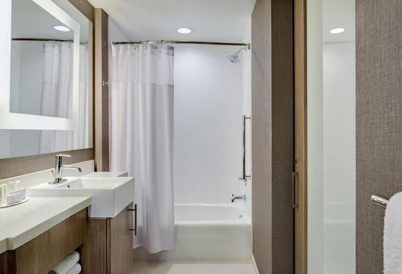 Студия Superior, Springhill Suites By Marriott Oklahoma City Midwest City Del City