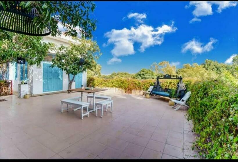 اتاق لوکس, The Secret Garden