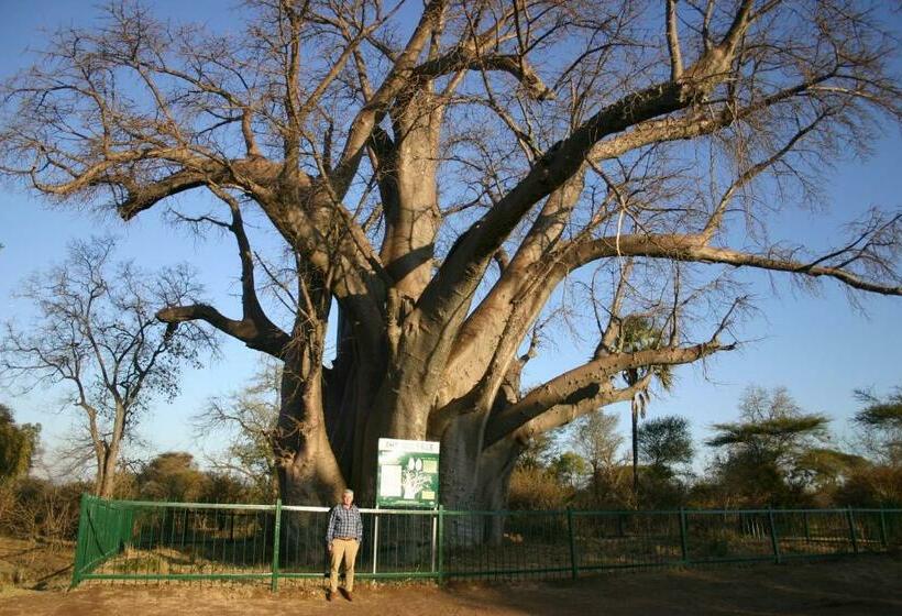 اتاق استاندارد چهار تخته, Room In Villa   Zambezi Family Lodge   Elephant Room