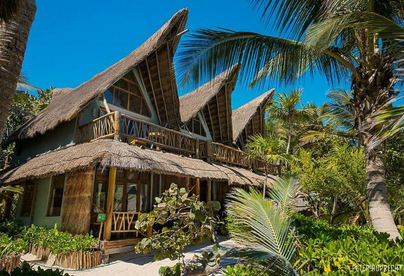 小型套房, Ahau Tulum