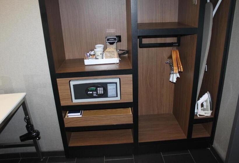 Номер Стандарт Кровать Кинг Адаптированный для Инвалидов, Aloft Syracuse Inner Harbor