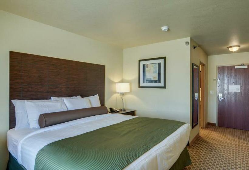 스탠다드 룸 킹사이즈 침대, Cobblestone Inn & Suites  Oberlin