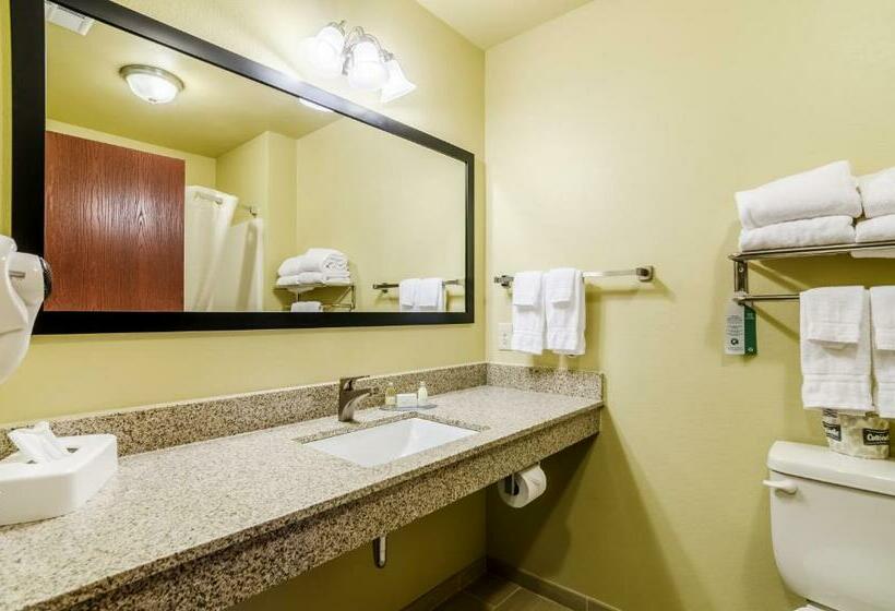 스탠다드 룸 킹사이즈 침대, Cobblestone Inn & Suites  Oberlin