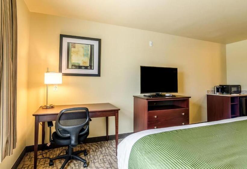 장애인을 위한 킹사이즈 침대 스탠다드 룸, Cobblestone Inn & Suites  Oberlin