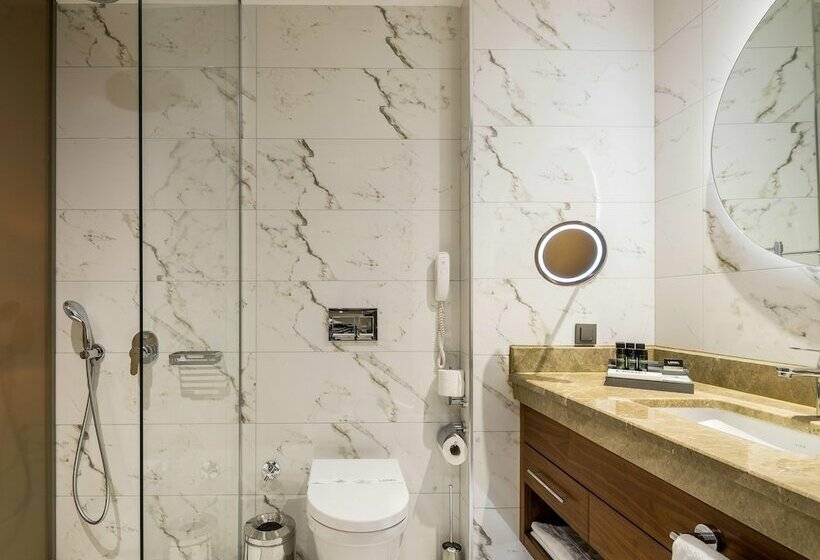 غرفة سوبيريور, Lionel Hotel Istanbul