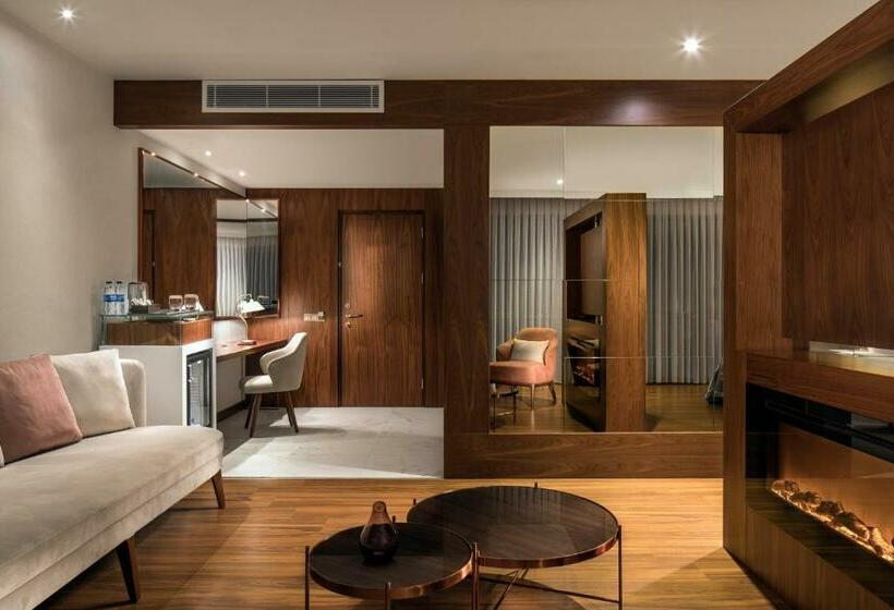 جناح جونيور ذات إطلالة, Lionel Hotel Istanbul