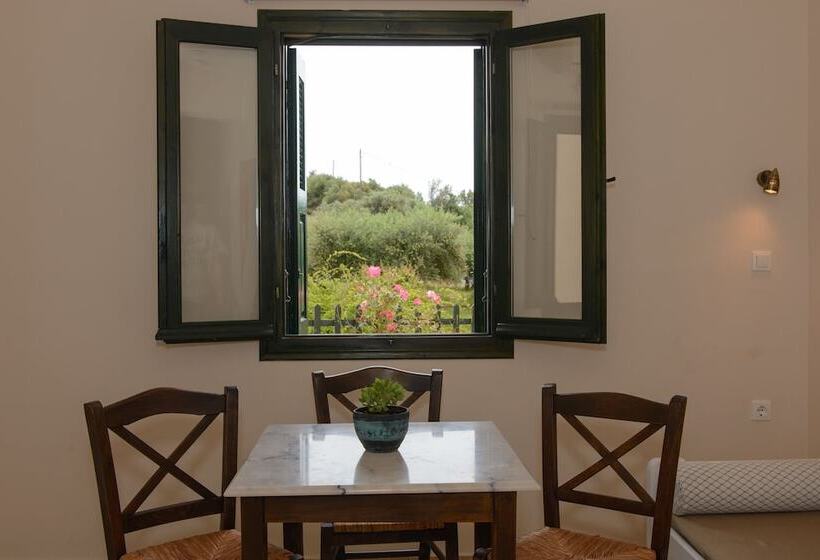 Appartement 1 Chambre, So Nice