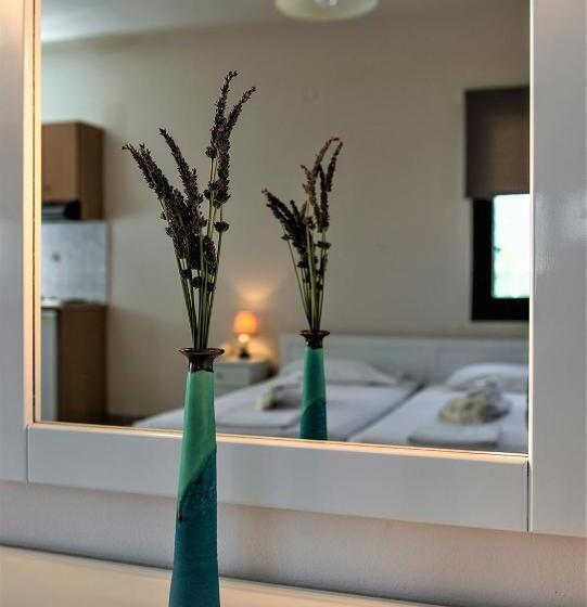 Appartement 1 Chambre, So Nice