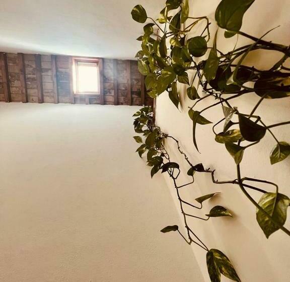 Номер Стандарт Совместная Ванная, Albergo Dal Fata