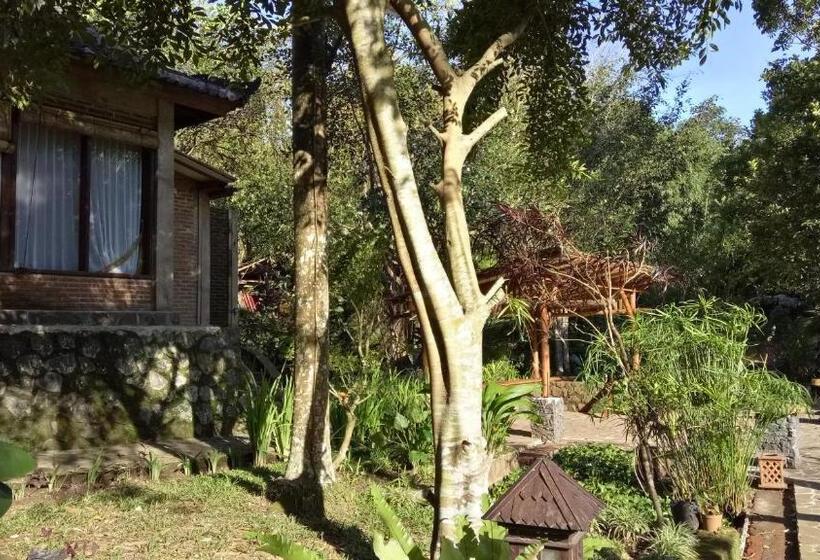 Люкс Вид на Реку, Mi Casa   The Gem Of Ijen