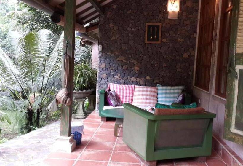 Люкс 2 Спальни, Mi Casa   The Gem Of Ijen