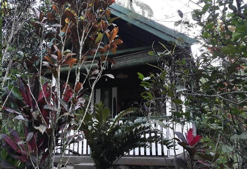 Бунгало Стандарт, Mi Casa   The Gem Of Ijen