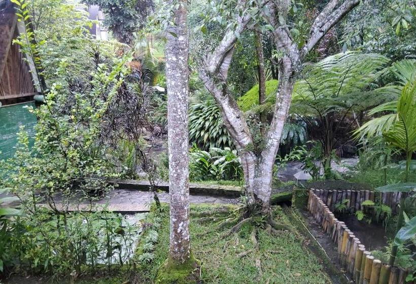 Люкс Вид на Реку, Mi Casa   The Gem Of Ijen