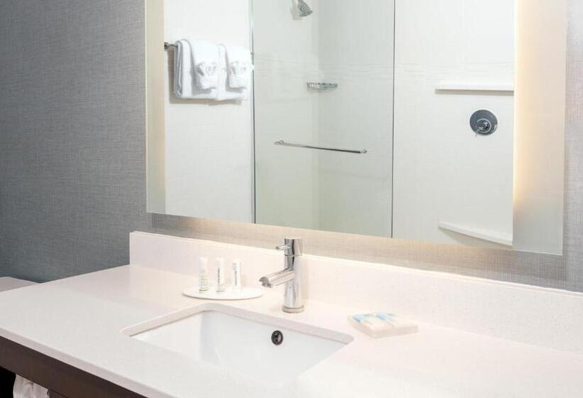 带大床的标准工作室, Residence Inn By Marriott Charlottesville Downtown