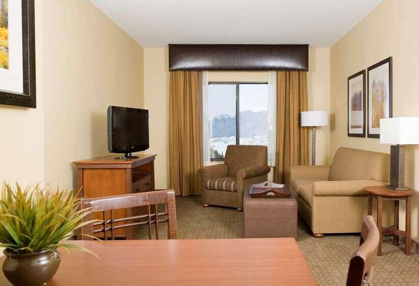 스위트, Home2 Suites By Hilton Saratoga/malta