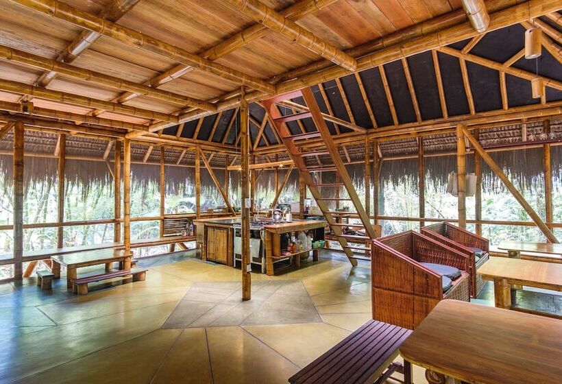 بانگلوی استاندارد, Universo Pol Bamboo Hostel