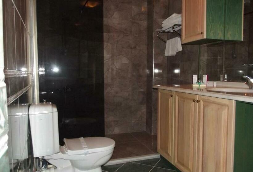 デラックスルーム, Mavi Inci Park Otel