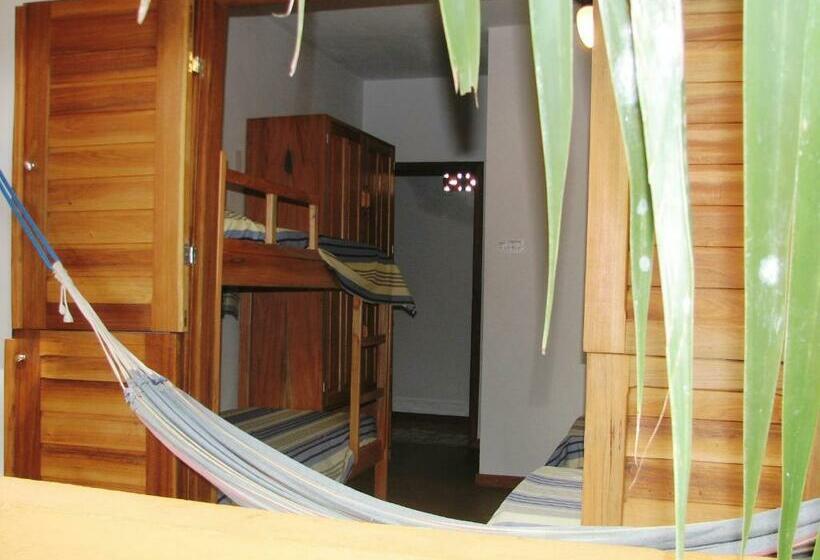Четырехместный Номер Стандарт, O Pharol Hostel E Pousada