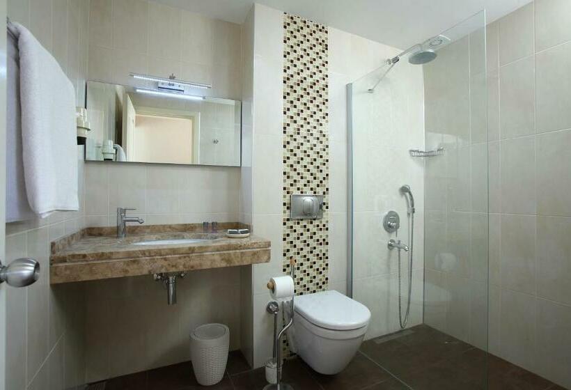 اتاق استاندارد, Catamaran