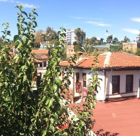 اتاق استاندارد, White City Pension