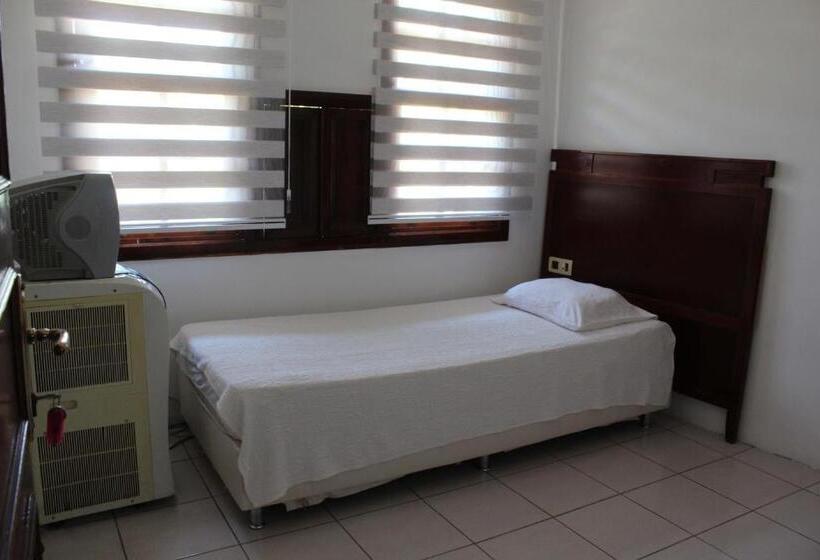 اتاق استاندارد یک نفره, White City Pension