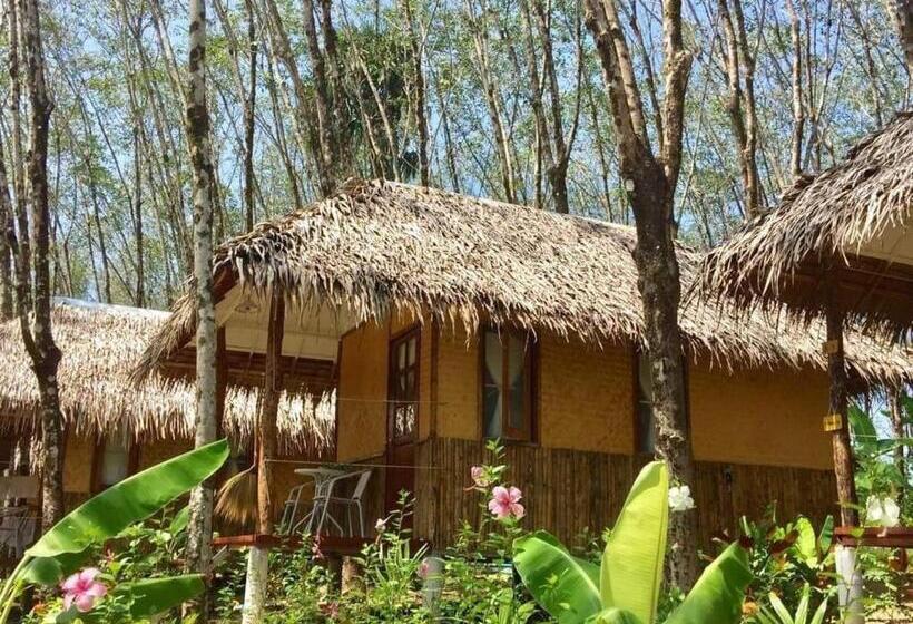 Бунгало Deluxe, Rabbit Bungalow