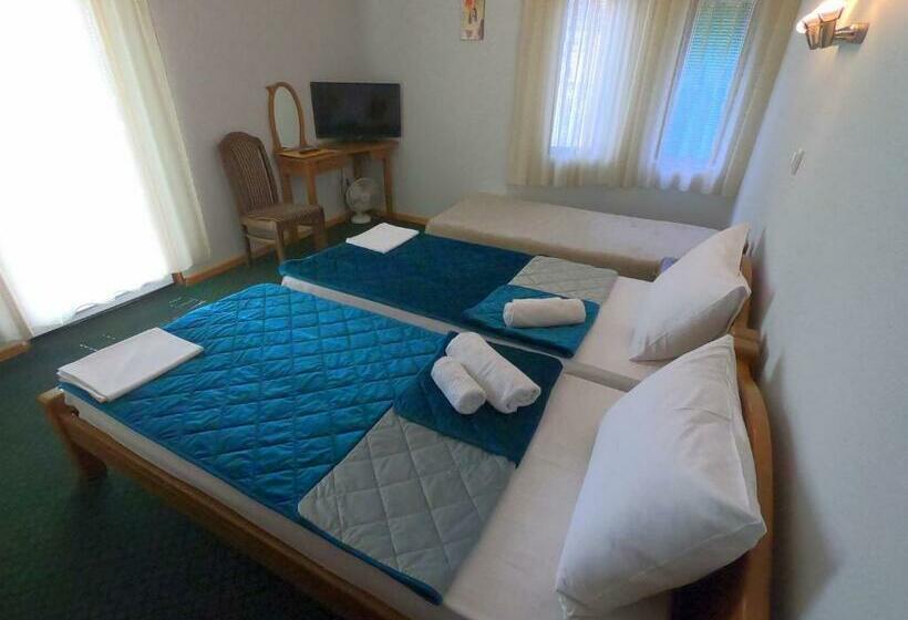 اتاق استاندارد یک تخته با بالکن, Garni Hotel Vir