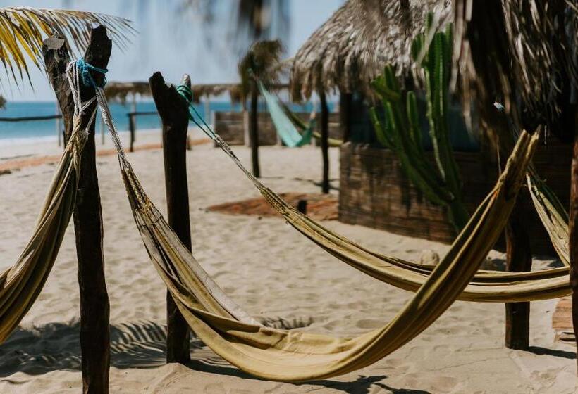 Номер Стандарт, Waltako Beach Culture