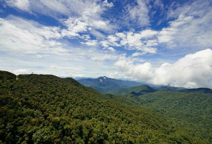سوییت, Grand Ion Delemen