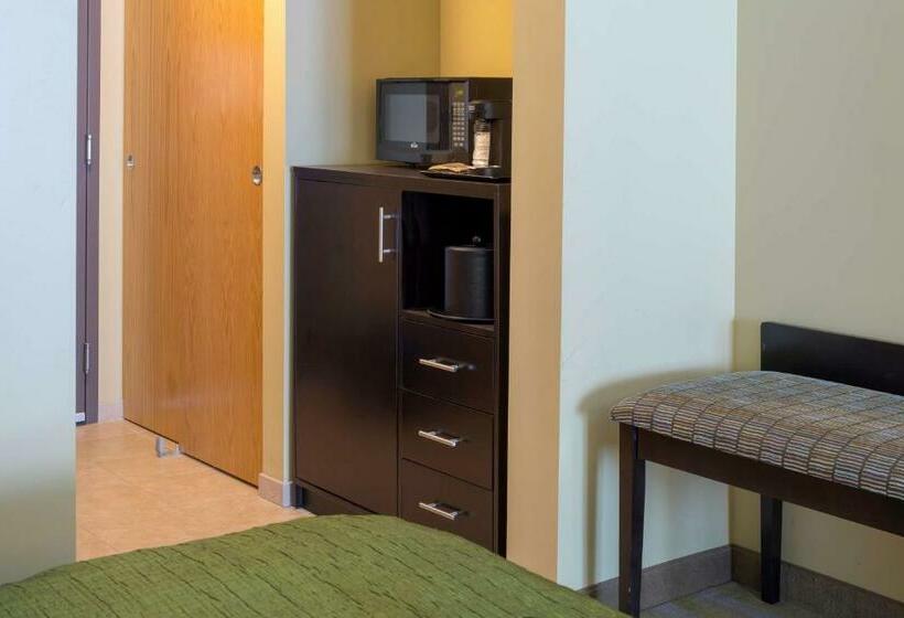 스탠다드 룸 킹사이즈 침대, Best Western Plus Franciscan Square Inn & Suites  Steubenville