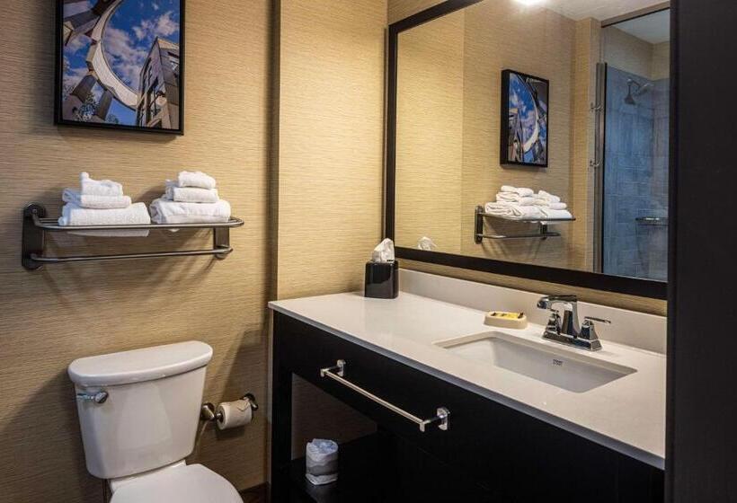 스위트, Best Western Plus Franciscan Square Inn & Suites  Steubenville