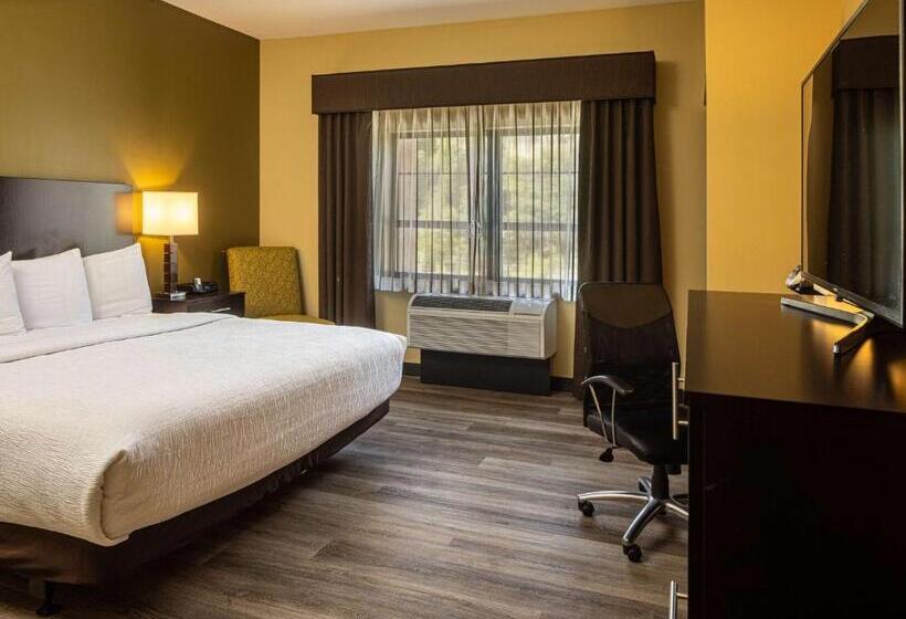 스탠다드 룸 킹사이즈 침대, Best Western Plus Franciscan Square Inn & Suites  Steubenville