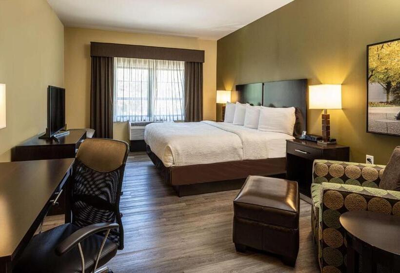 스탠다드 룸 킹사이즈 침대, Best Western Plus Franciscan Square Inn & Suites  Steubenville