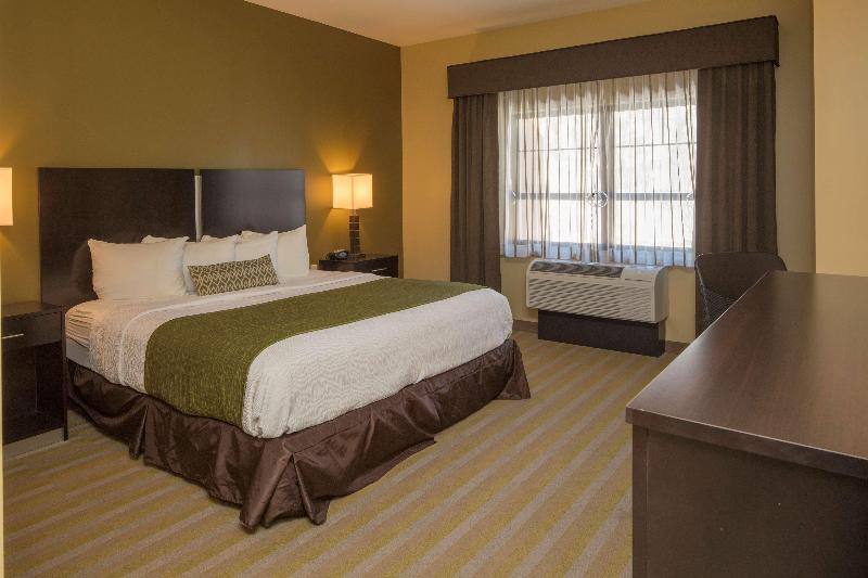 스탠다드 룸 킹사이즈 침대, Best Western Plus Franciscan Square Inn & Suites  Steubenville