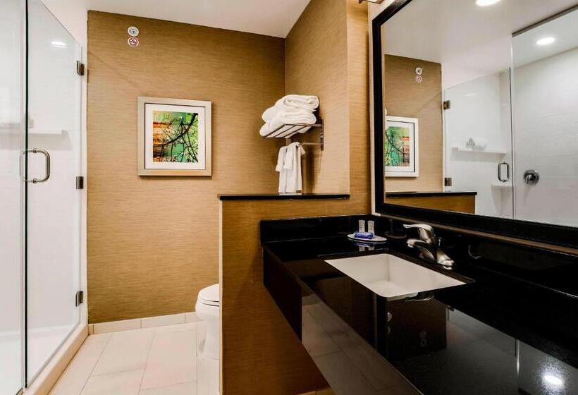 Номер Стандарт, Fairfield Inn & Suites By Marriott Pecos