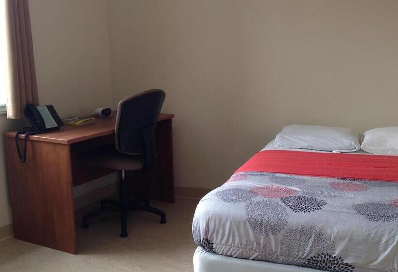 スーペリアスタジオ, Backpacker College At Memorial University   Grenfell Campus