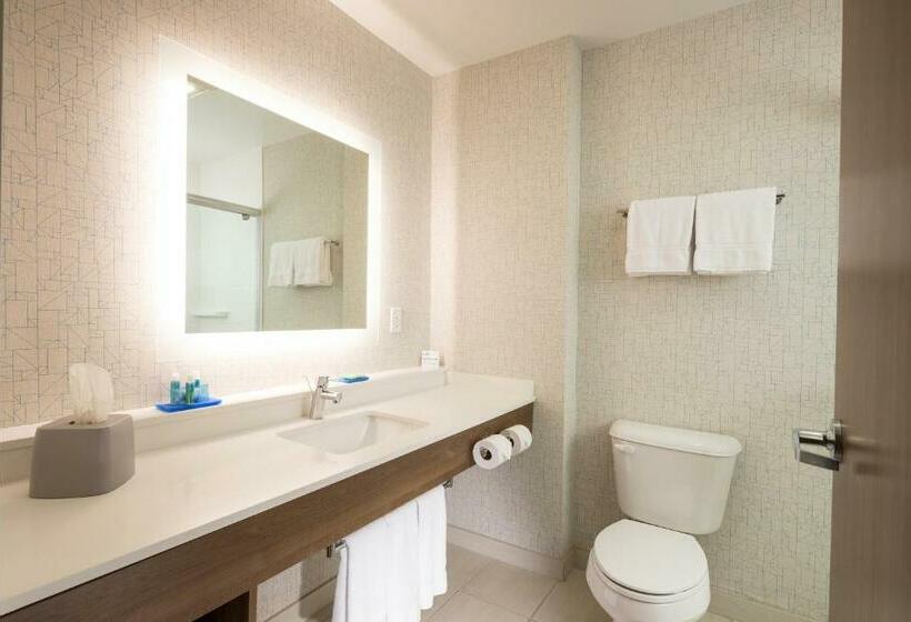 Номер Стандарт Кровать Кинг Адаптированный для Инвалидов, Holiday Inn Express & Suites La Porte, An Ihg