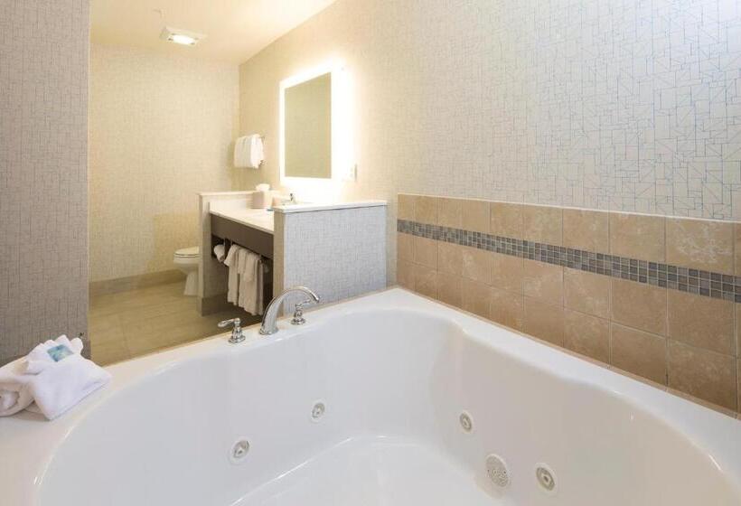 Президентский Люкс, Holiday Inn Express & Suites La Porte, An Ihg