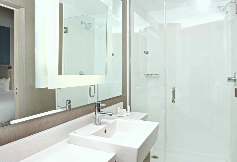 Люкс, Springhill Suites By Marriott Seattle Issaquah