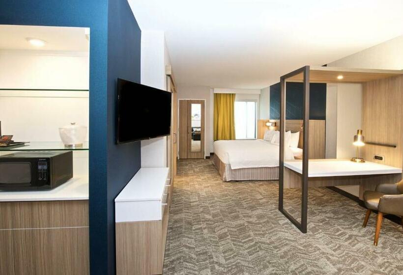 Люкс Кровать Кинг, Springhill Suites By Marriott Seattle Issaquah
