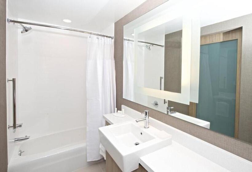Люкс, Springhill Suites By Marriott Seattle Issaquah