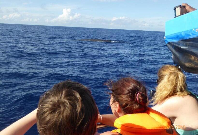 اتاق استاندارد با چشم‌انداز دریا, Paradise Beach Resort & Diving School