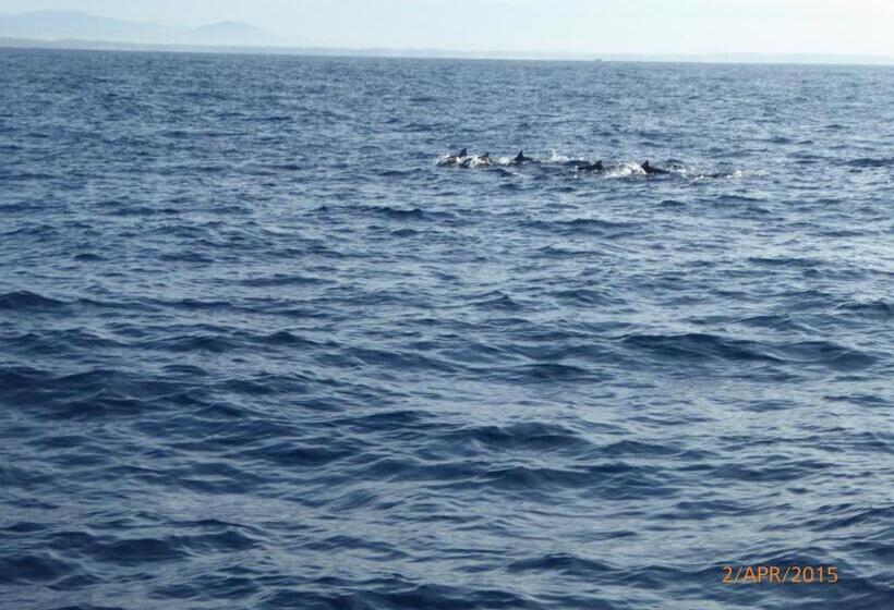Cameră Standard cu Vedere la Mare, Paradise Beach Resort & Diving School